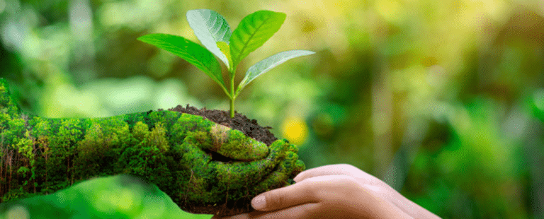 Em busca de sustentabilidade, Grupo Boticário quer acelerar iniciativas