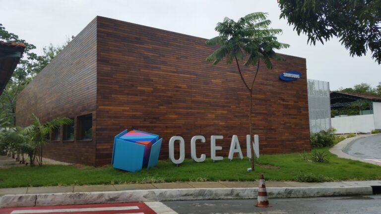 Ocean Innovation Talks aborda ‘O Futuro dos Bancos e das Fintechs’ em quarto encontro on-line