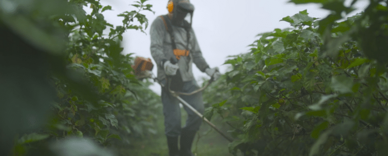 STIHL desenvolve websérie para contar histórias de clientes do mercado agropecuário