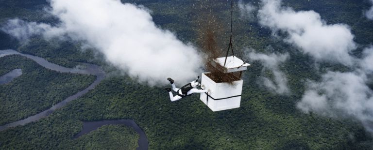 Audi do Brasil e Luigi Cani semeiam região desmatada da Amazônia com mais de 100 milhões de sementes