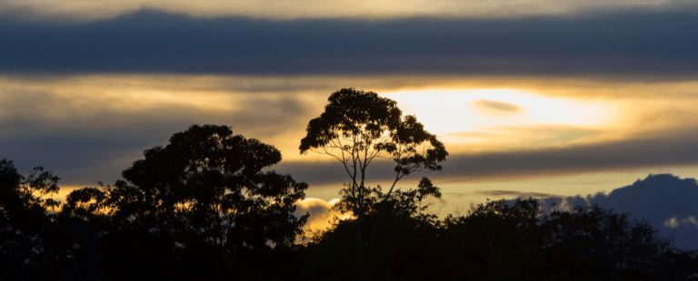 Guaraná Antarctica é o primeiro na categoria a ter toda a produção de garrafas com PET 100% reciclado