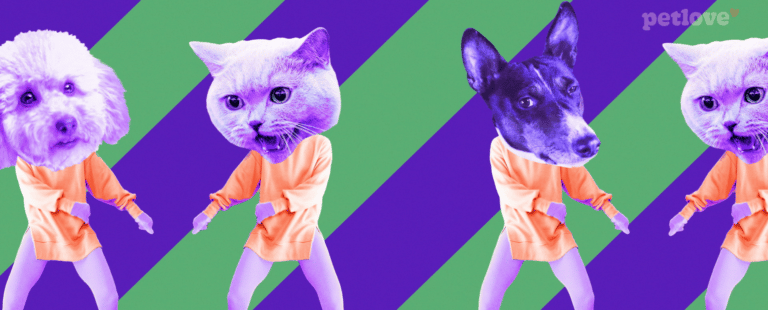 Petlove celebra mês de aniversário com funk “ostentaCão”