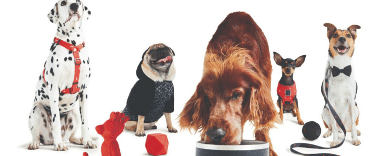 Reserva e Petlove se unem e lançam linha de produtos para pets