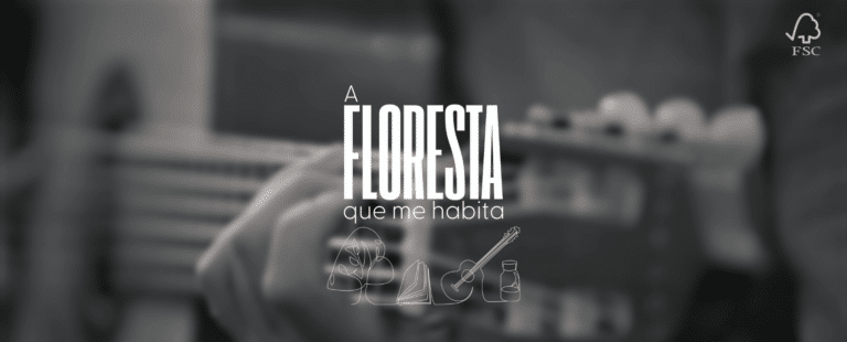 FSC Brasil mostra como a floresta se transforma em música em nova campanha