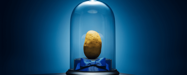 Hellmann’s leiloa batata que iria para o lixo pelo valor de R$ 100 mil em experimento social