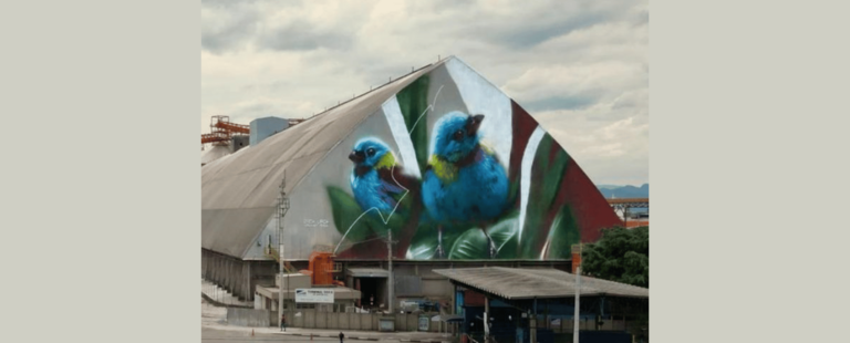 Mural da Caramuru Alimentos concorre em uma das maiores premiações de arte urbana do mundo