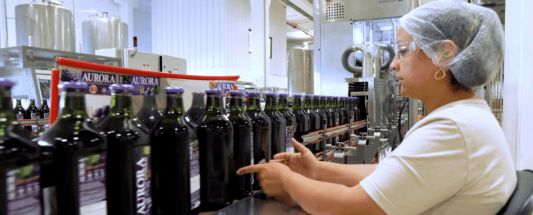 93 anos da Cooperativa Vinícola Aurora são marcados por reestruturação da companhia