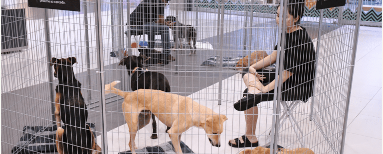 Butantã Shopping realiza evento de adoção de cães e gatos