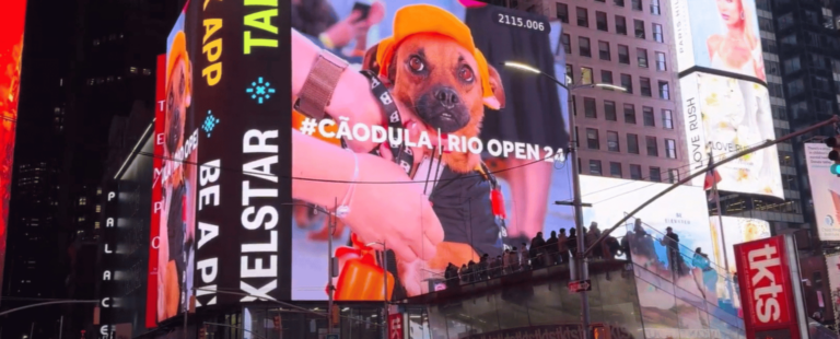 CãoDulas ganham destaque na Times Square, em Nova York