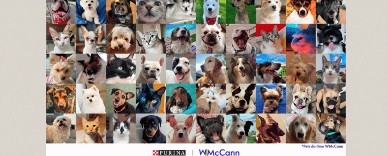 Nestlé anuncia WMcCann como sua nova agência de comunicação para Purina