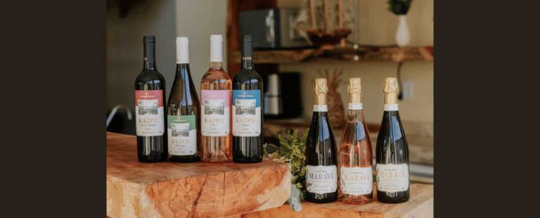 Grupo Wine investe R$ 18 milhões no lançamento do seu primeiro projeto vitivinícola no Brasil, em parceria com o Grupo Miolo