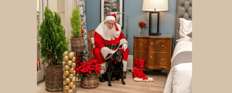 Palácio Tangará lança campanha de Natal contra o abandono de cães