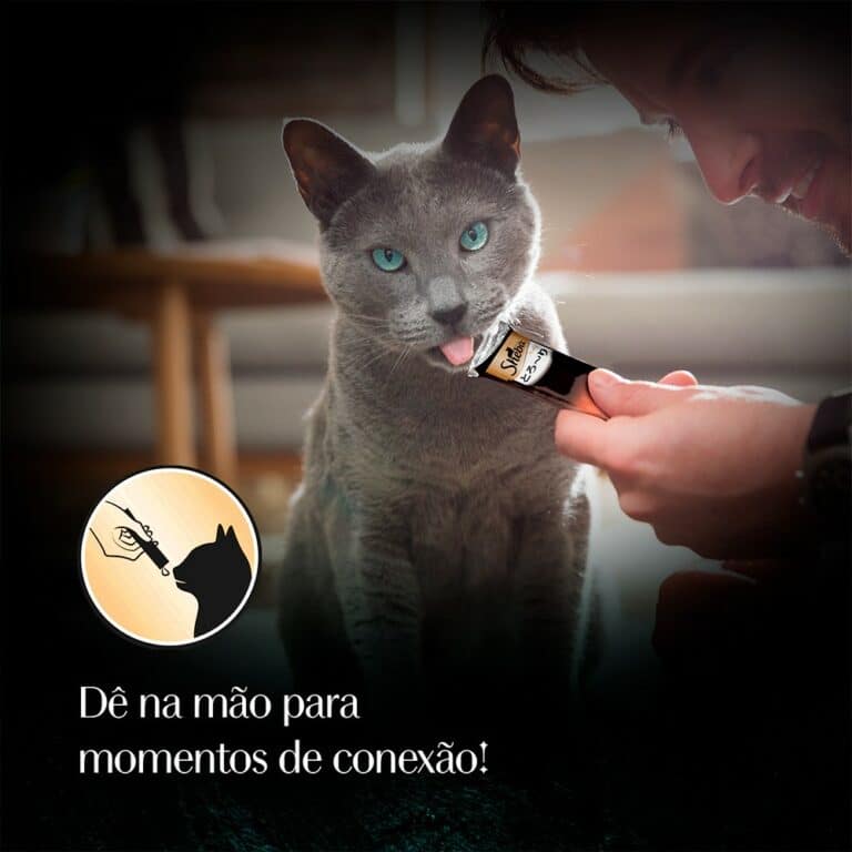 Sheba anuncia lançamento de petisco cremoso sucesso de vendas