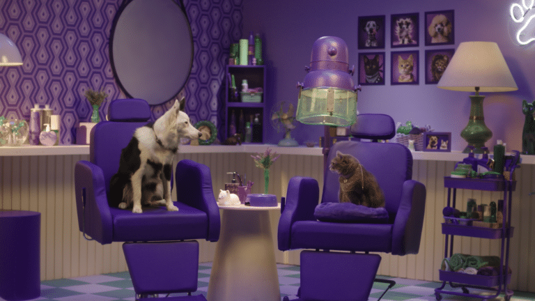 Petlove dá início a 2025 com patrocínio de quadro “Deu Petch”, no Fantástico, e nova campanha sobre a importância do plano de saúde pet