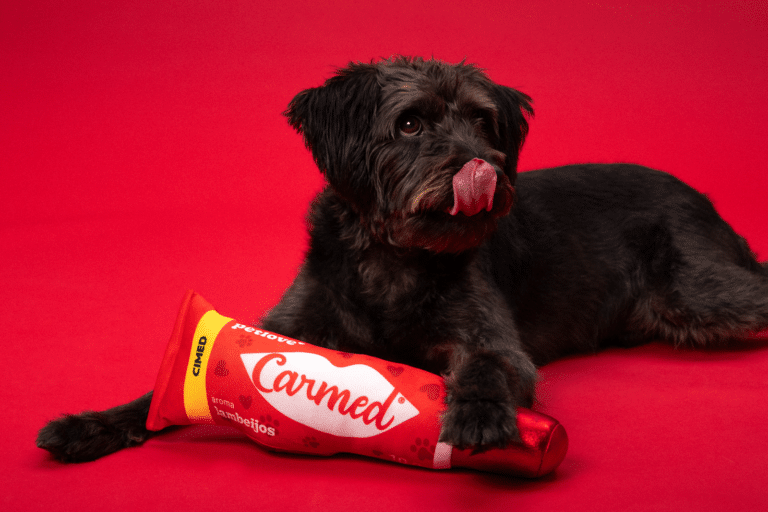 Hidratante labial para cães? Petlove e Carmed lançam Carmed “lambeijos”
