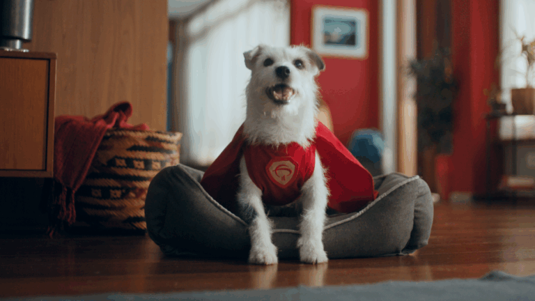 Bradesco apresenta o cãozinho Super Pix em campanha criada pela AlmapBBDO