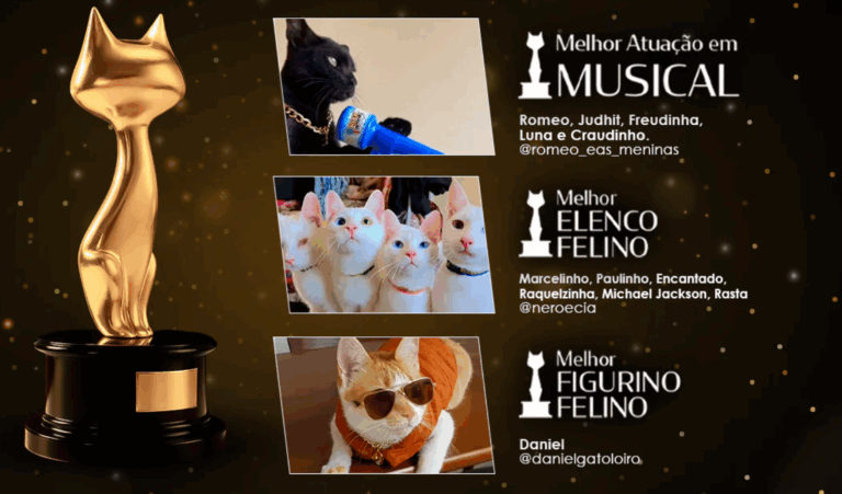 O Oscar dos felinos brasileiros: Gato de Ouro consagra vencedores e ultrapassa 3,48 milhões de interações nas redes