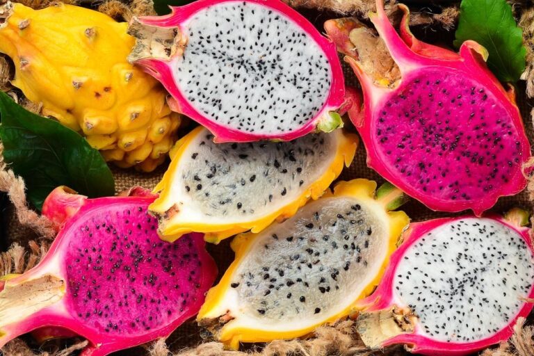 O futuro da Pitaya no Brasil