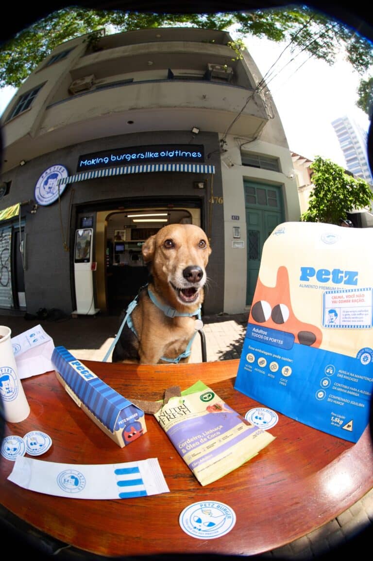 Petz e Patties lançam collab com combo especial e brindes para cães e gatos
