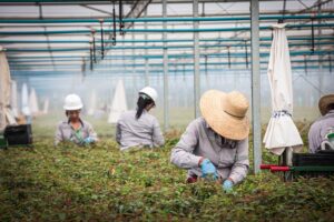 Léo Balbi e Sleyman Khodor, líderes da agência Milà, nova parceira de publicidade da Suzano, abril de 2026