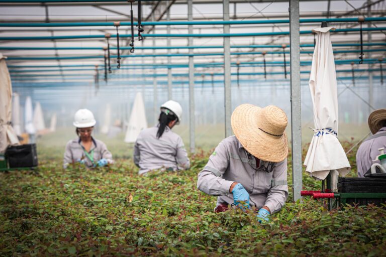 Léo Balbi e Sleyman Khodor, líderes da agência Milà, nova parceira de publicidade da Suzano, abril de 2026