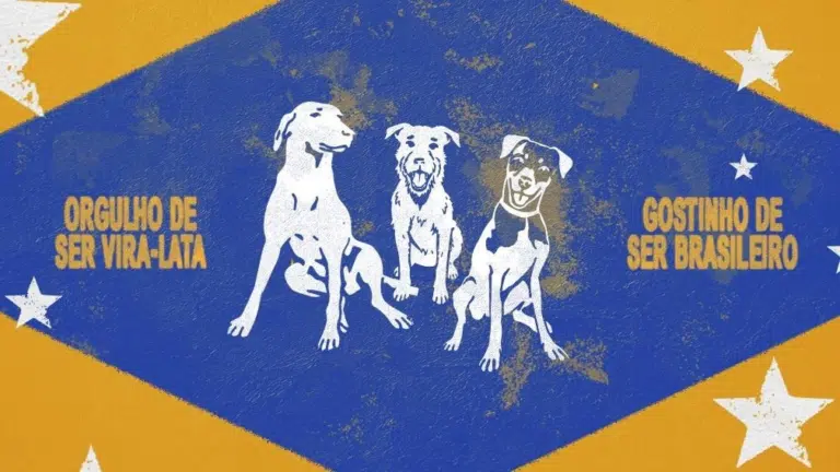 PEDIGREE lança campanha Vira-Lata com Ronaldinho Gaúcho e AlmapBBDO para ressignificar o termo e celebrar os cães sem raça definida no Brasil em junho de 2026