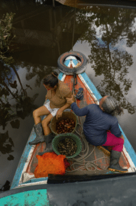 Natura lança a Natura Ingredientes startup de bioingredientes da Amazônia com acordos já fechados com LUSH e Mahta para entrega em 2026