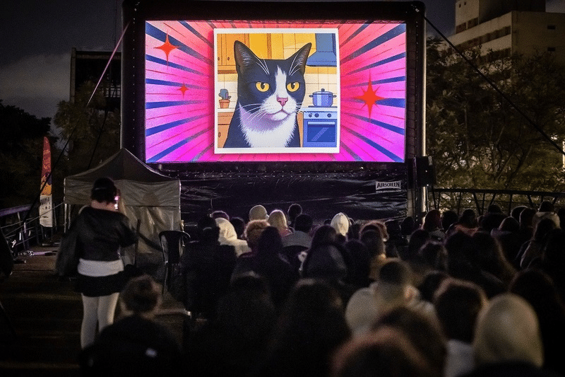 GoldeN GatoFest 2026 festival felino cinema gatos