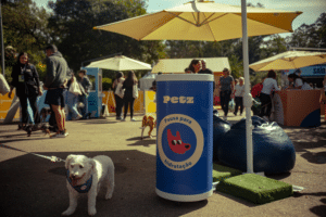 Festival Pet 2026 Ibirapuera marcas brand experience negócios