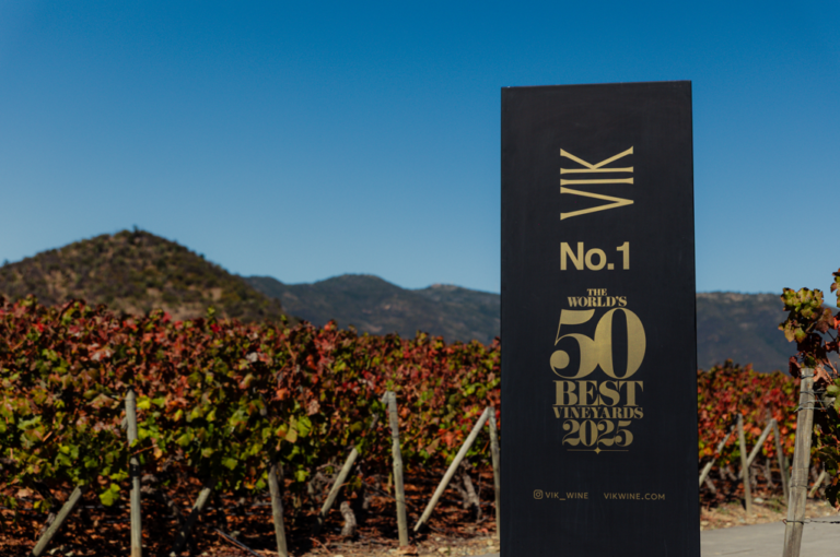 Vendimia VIK Brasil Fazenda Vista Verde evento vinho gastronomia