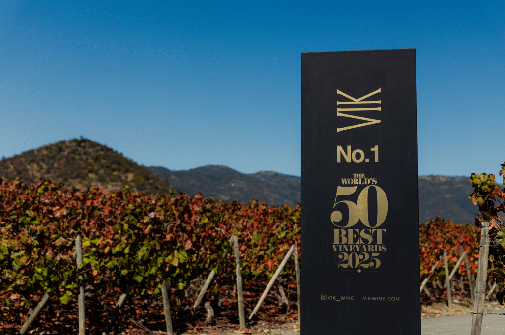 Vendimia VIK Brasil Fazenda Vista Verde evento vinho gastronomia